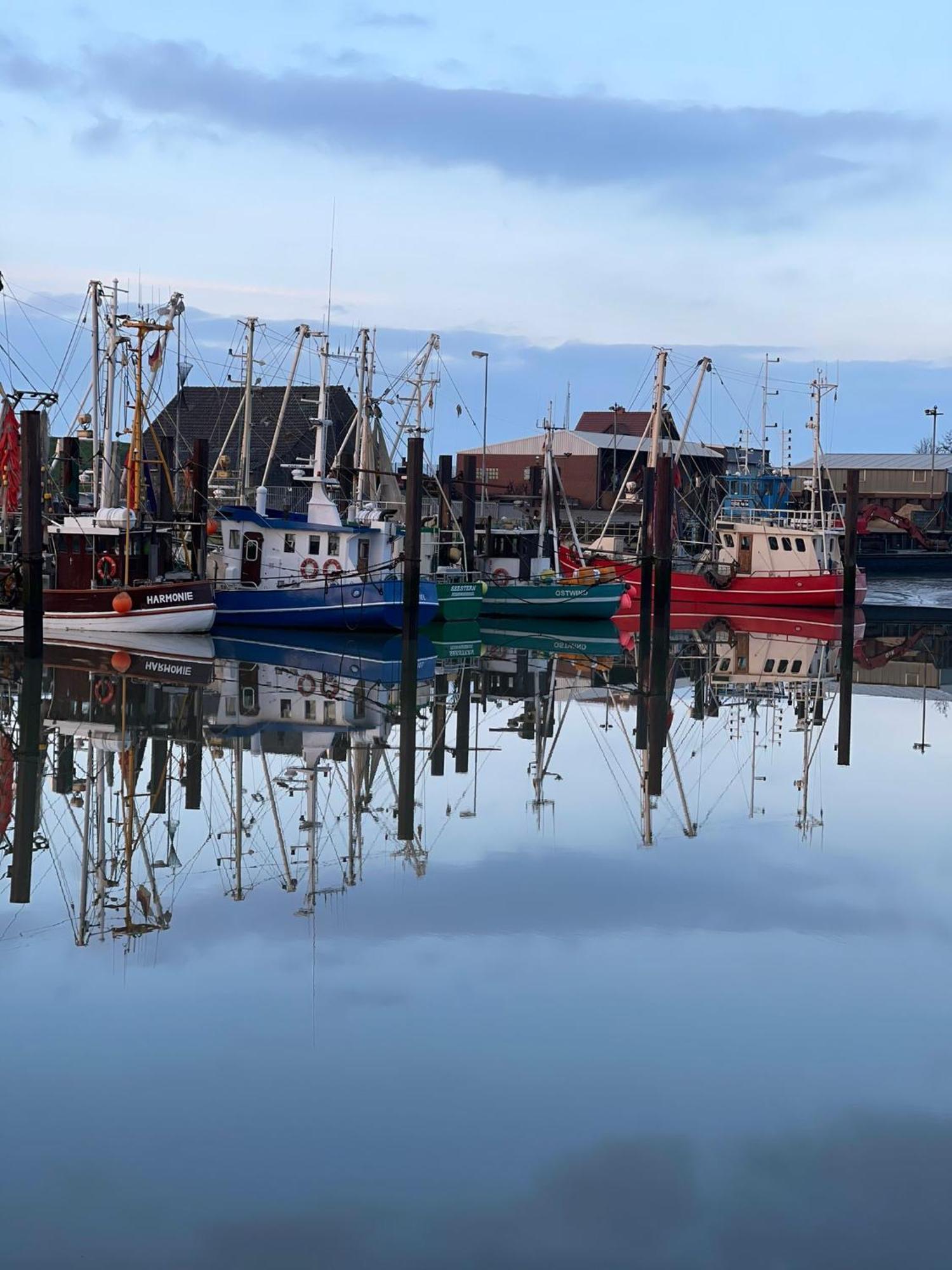 Ferienwohnung Hein Am Nordseedeich Butjadingen Eksteriør billede