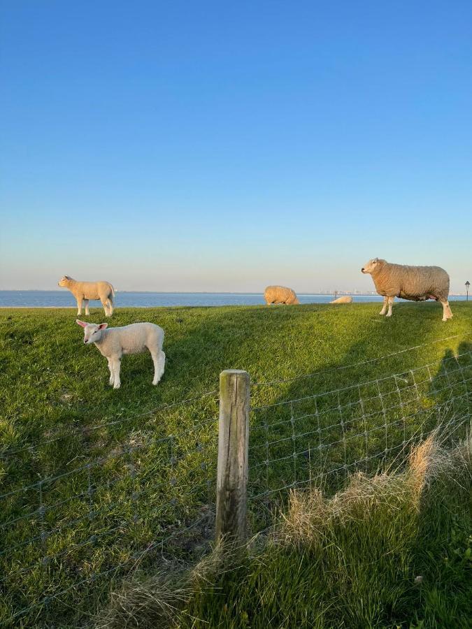 Ferienwohnung Hein Am Nordseedeich Butjadingen Eksteriør billede
