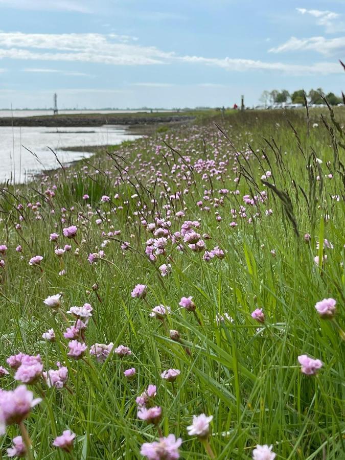 Ferienwohnung Hein Am Nordseedeich Butjadingen Eksteriør billede